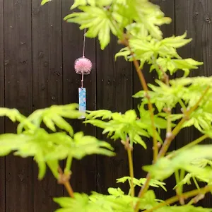 Tatil Evi 桃夭庵 Touyouan Momo House Kujo 一棟貸切 *