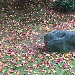 Petit Alla Seta Kyoto