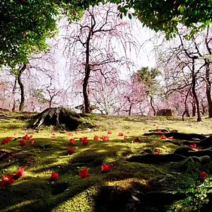 京都東福寺 逸苑 * Kyoto