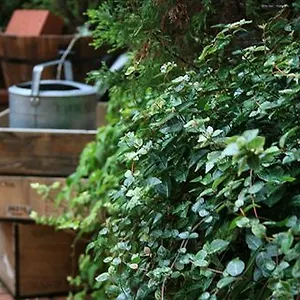 Garden 3*