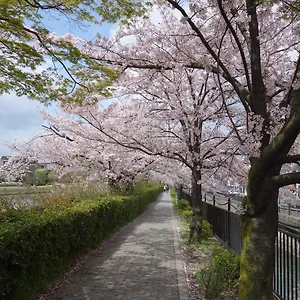 Affittacamere 君の家 伏見